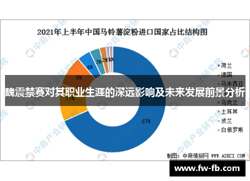 魏震禁赛对其职业生涯的深远影响及未来发展前景分析
