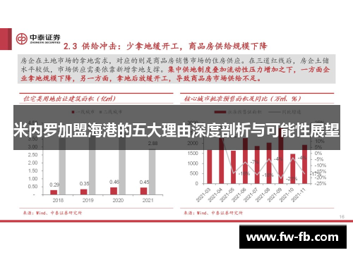 米内罗加盟海港的五大理由深度剖析与可能性展望