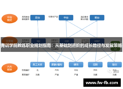 青训学院教练职业规划指南:从基础到进阶的成长路径与发展策略 青训学院教练职业规划指南:从基础到进阶的成长路径与发展策略