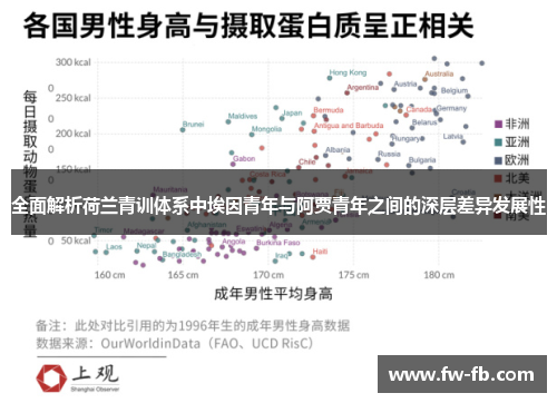 全面解析荷兰青训体系中埃因青年与阿贾青年之间的深层差异发展性 全面解析荷兰青训体系中埃因青年与阿贾青年之间的深层差异发展性