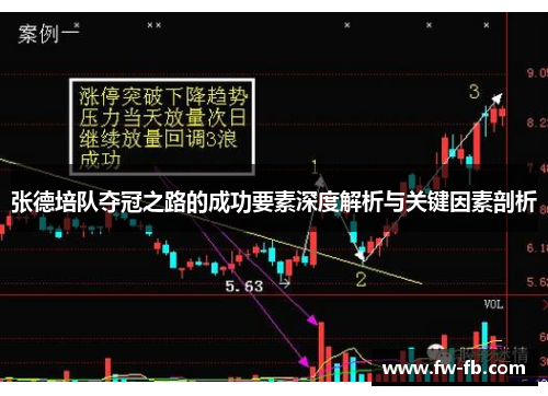 张德培队夺冠之路的成功要素深度解析与关键因素剖析