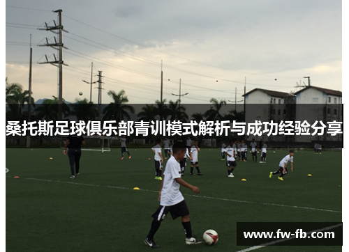桑托斯足球俱乐部青训模式解析与成功经验分享